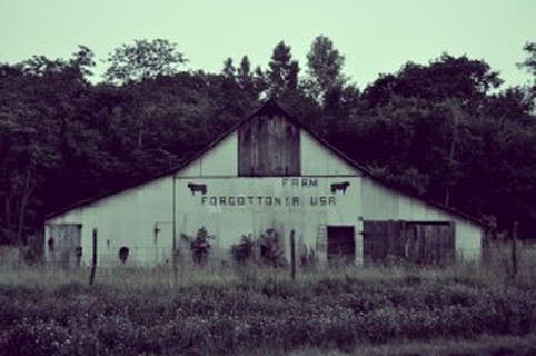 picture, barn, rundown, field, dilapidated, forgotten, usa, cows, rural