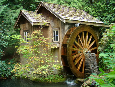 waterwheel, forest, shack, wheel, cottage, stone, mill